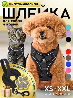 Шлейка для собак мелких средних пород и кошек с поводком Savipets 283864473 купить за 586 ₽ в интернет-магазине Wildberries