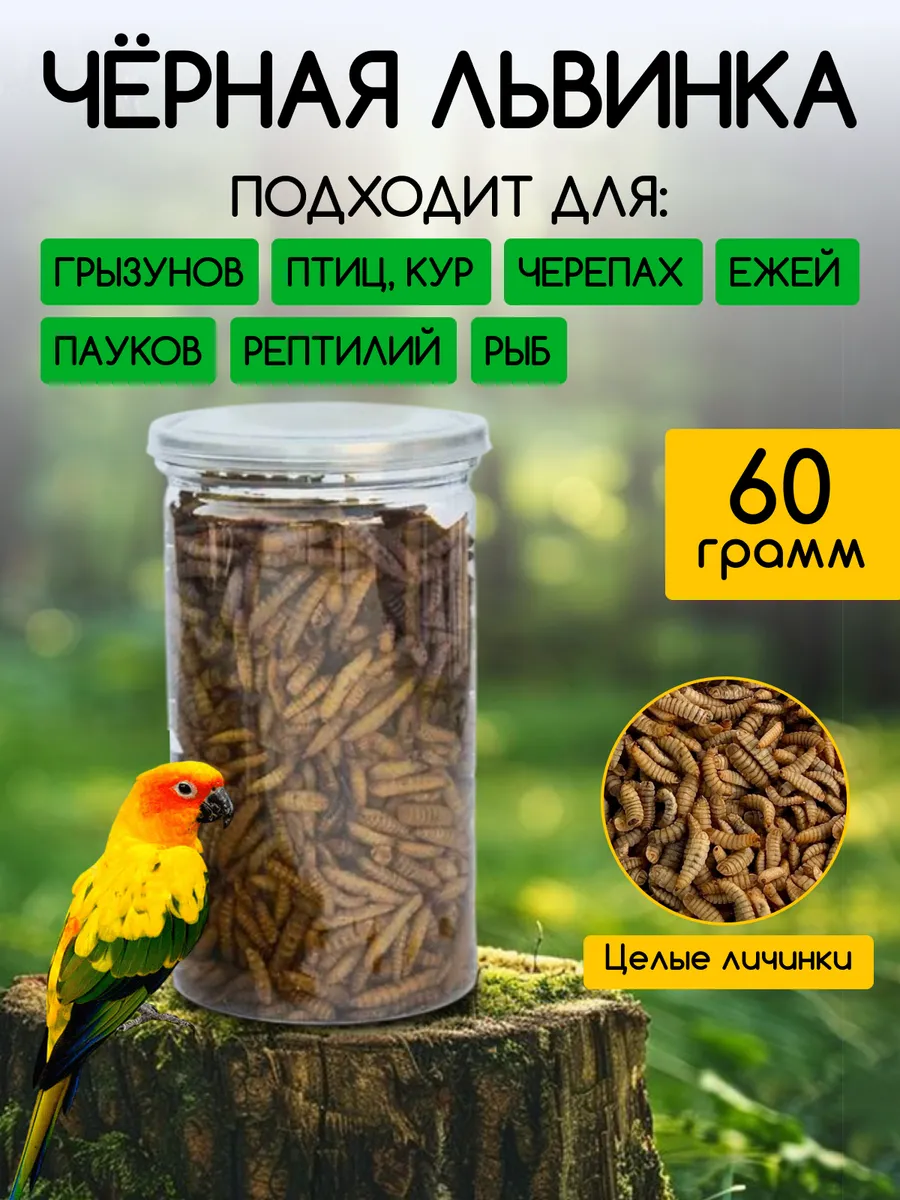 Черная львинка лакомство для черепах, крыс и птиц 60 грамм