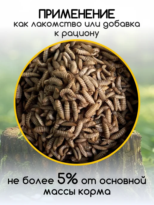 Беговая Черепаха Гаммарус корм для красноухих черепах, крыс, хомяков 40 гр, черный, фото 4
