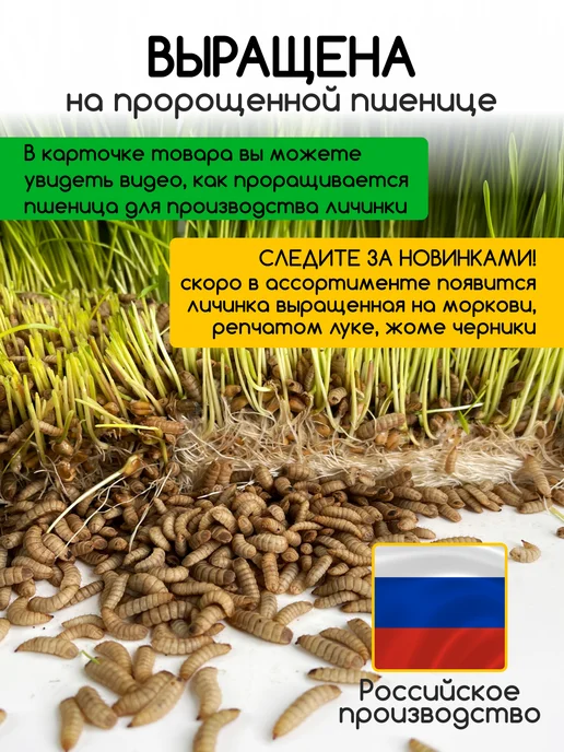 Беговая Черепаха Гаммарус корм для красноухих черепах, крыс, хомяков 40 гр, черный, фото 5