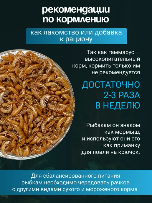 Беговая Черепаха Гаммарус корм для красноухих черепах, крыс, хомяков 40 гр, 40 г, фото 4