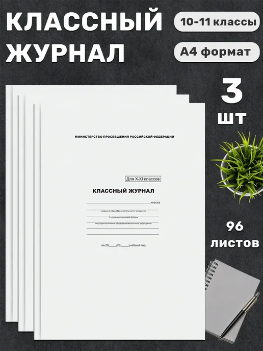 BG Классный журнал для 10-11 классов, твёрдый переплёт, 88 л, 3 шт