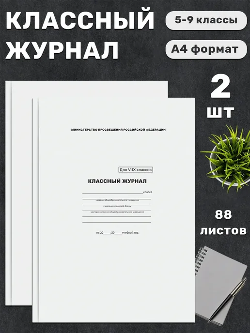 BG Классный журнал для 5-9 классов, твёрдый переплёт, 88 листов, 2 шт