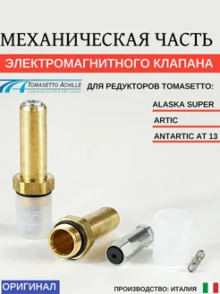 Якорь ЭМК редуктора TOMASETTO Alaska Super, Artic, AT-13 Tomasetto Achille 285438090 купить за 626 ₽ в интернет-магазине Wildberries