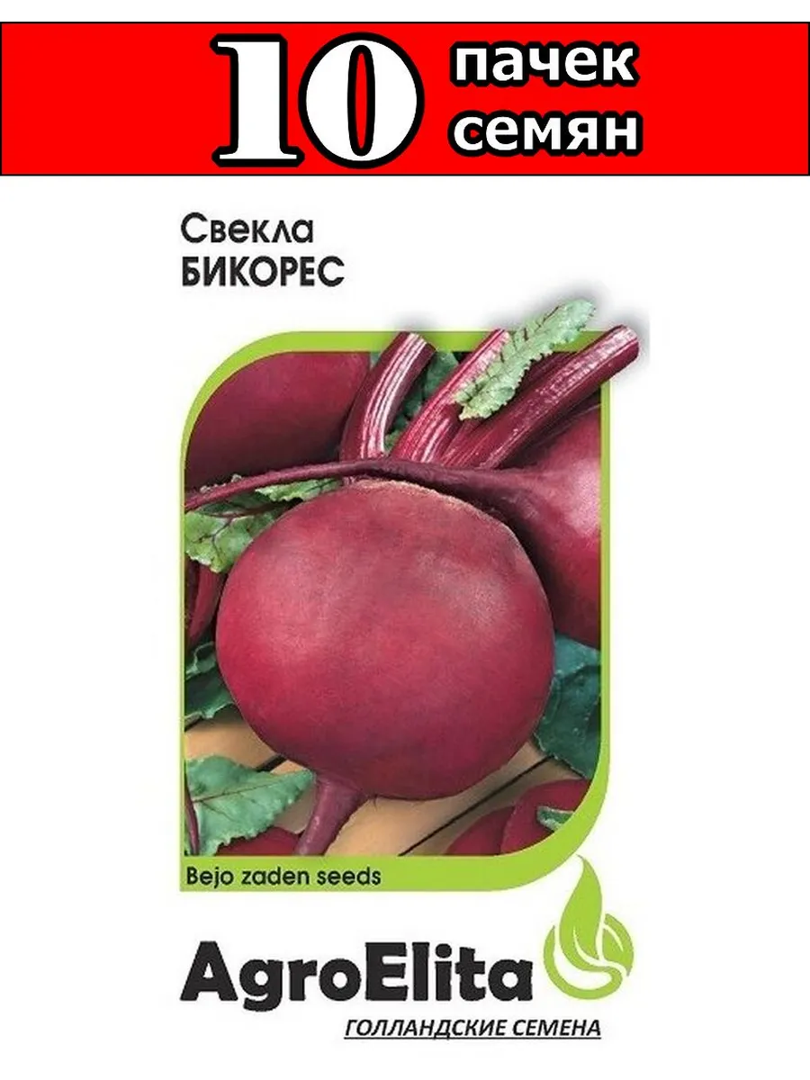 Купить Семена Свеклы Рафинад
