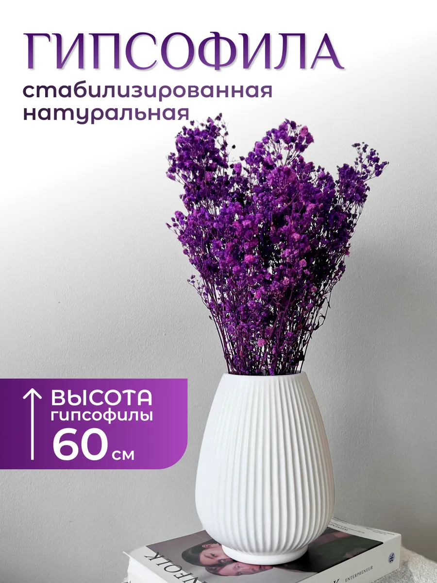 Сухоцветы для декора, большой букет в вазу из гипсофилы
