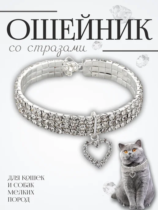 ChikChoice Ошейник для кошек и собак, серый