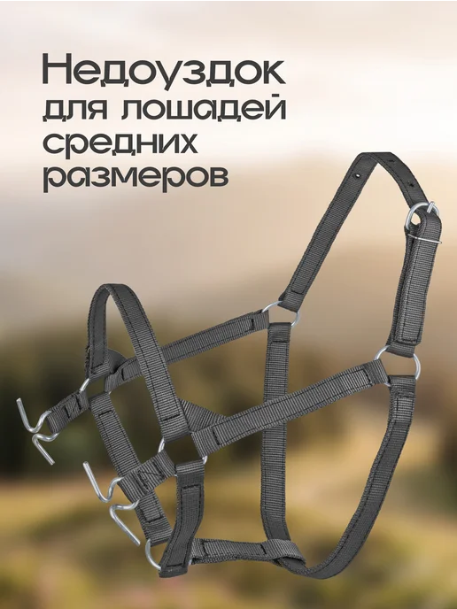 REITER Недоуздок-узда для лошадей с барашками 25 мм, черный, фото 4