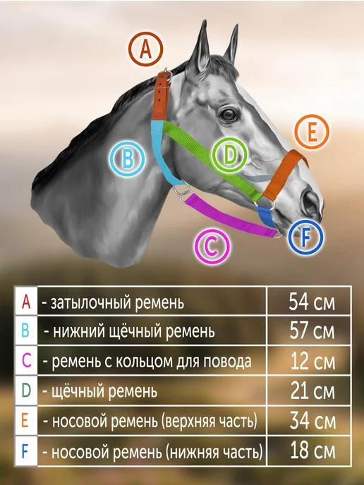 REITER Недоуздок-узда для лошадей с барашками 25 мм, синий, фото 2