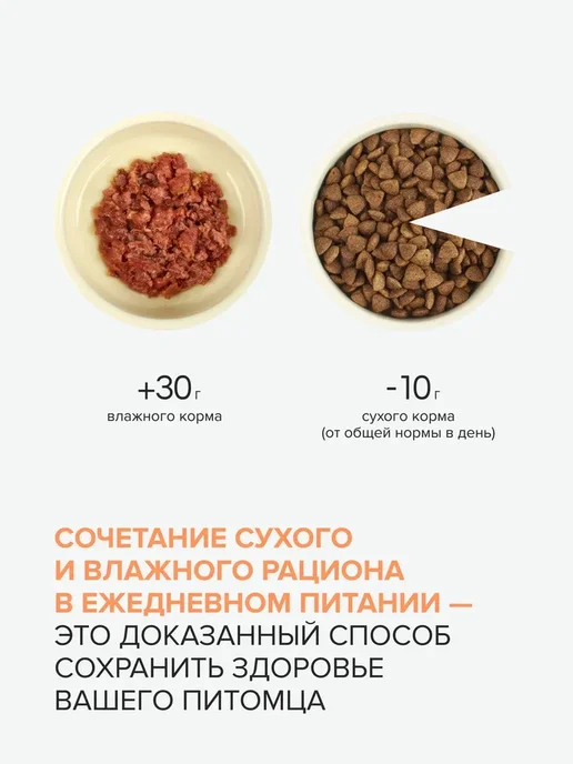 Сухой корм NOSY для собак, мелкие, ягненок, 0,8 кг, фото 7