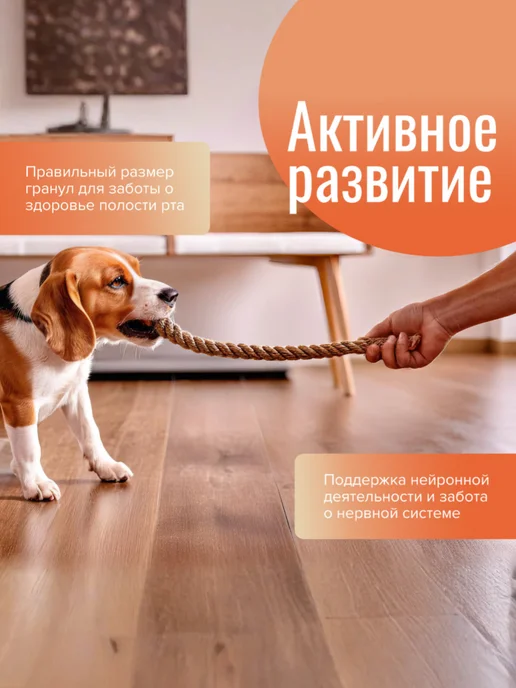 Сухой корм NOSY для собак, мелкие, ягненок, 2,5 кг, фото 2