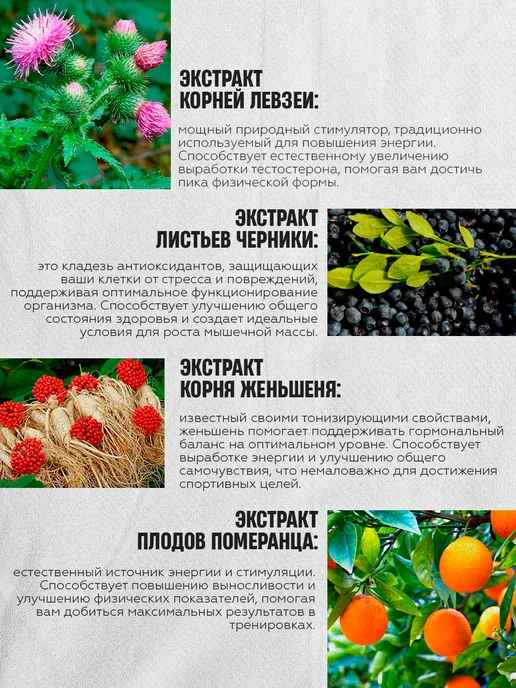 Balace Tribusterone Тестостерон для спорта в капсулах, вариант, фото 6