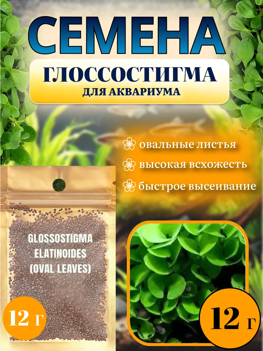 Семена растений для аквариума "Glossostigma elatinoides"