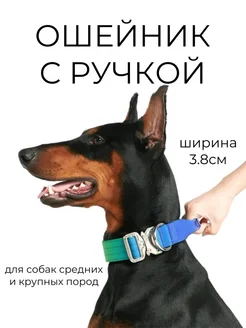 Ошейник с ручкой для собак PET.CULT 286615832 купить за 1 803 ₽ в интернет-магазине Wildberries