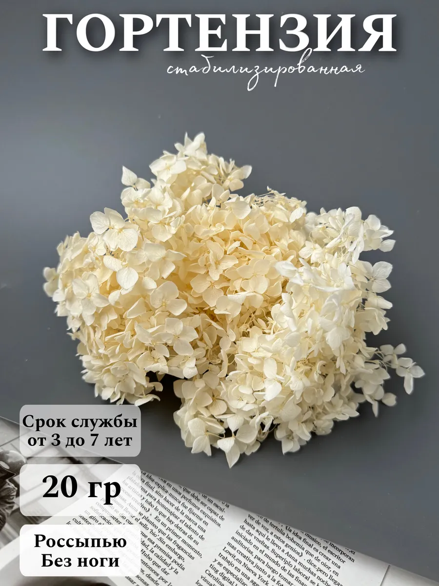 Сухоцветы для декора Гортензия стабилизированная 20г