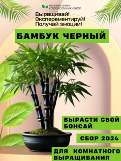 Бамбук черный семена бонсай Колокольчик Shop 286642770 купить за 202 ₽ в интернет-магазине Wildberries