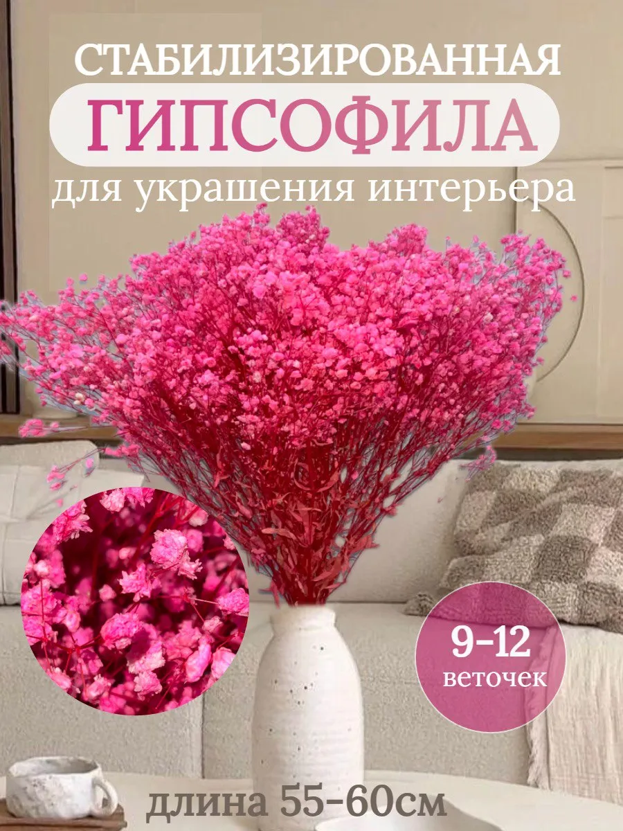 Гипсофила стабилизированная для декора