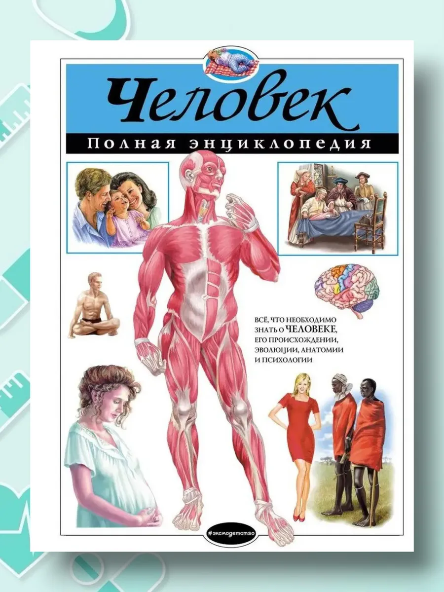 Человек Полная энциклопедия для школьника Подарочное издание