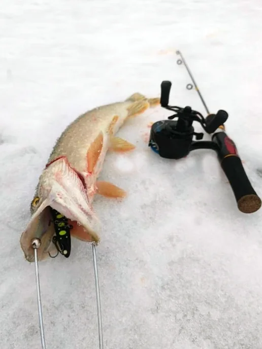 Y&G Fishing катушка, вариант, фото 5
