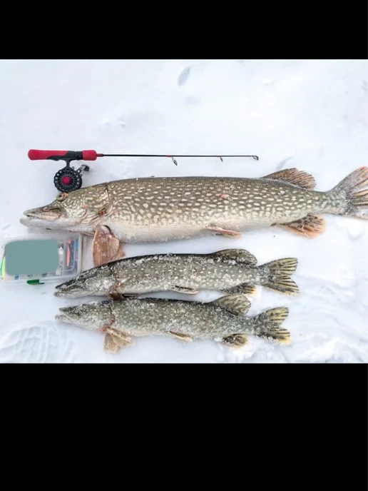 Y&G Fishing катушка, вариант, фото 6