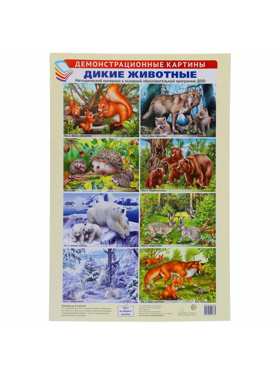Демонстрационные картины А3. Дикие животные. 8 штук