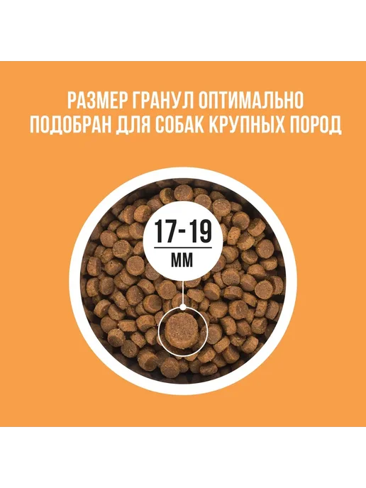 Сухой корм BOWL WOW Тыквой для собак, индейка, курица, 10 кг, фото 4