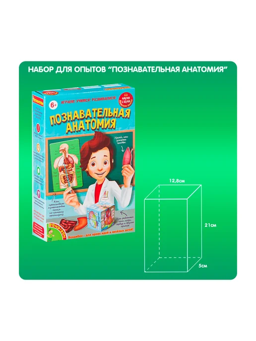 Bondibon Набор опытов для детей Познавательная анатомия, вариант, фото 2