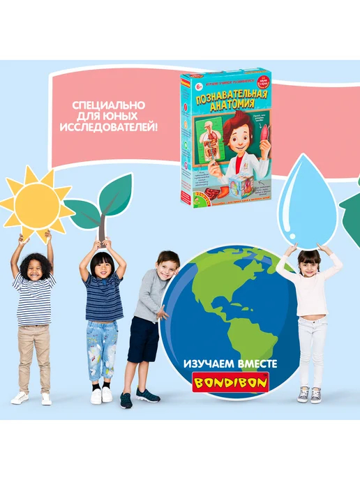 Bondibon Набор опытов для детей Познавательная анатомия, вариант, фото 6