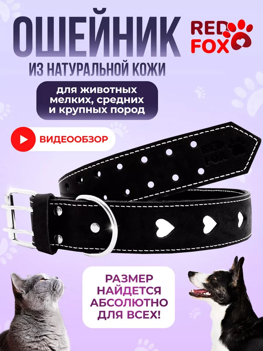 Ошейник для собак кошек мелких средних крупных пород кожаный
