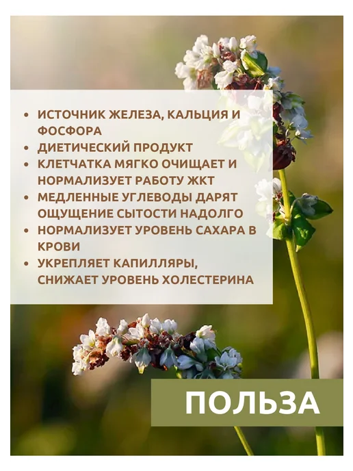 КРУПОВИЧОК Гречневый продел 1 кг, 3 кг, фото 4