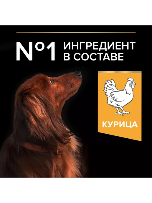 Сухой корм PRO PLAN Малых Карликовых для собак, курица, 0,7 кг, фото 4