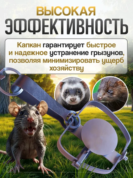 KUDZU Капкан для крыс на куницу железный крысоловка, вариант, фото 2