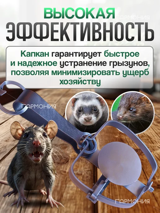 Капкан для крыс на куницу железный крысоловка, в упаковке 230 г, фото 2