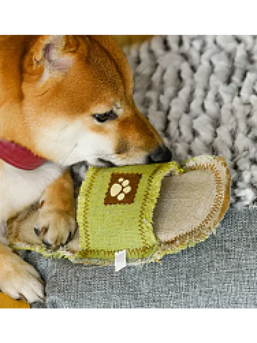 PetShop Игрушка для собак "Тапок" брезентовый 24 см, зеленый, фото 5