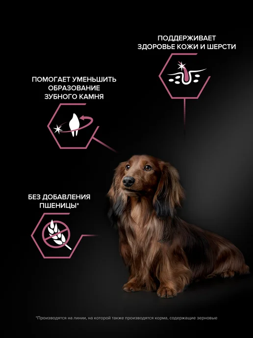 Сухой корм PRO PLAN для собак, взрослые, мелкие, лосось, 7 кг, фото 3