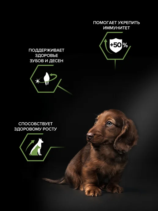 Сухой корм PRO PLAN для собак, мелкие, щенки, курица, 7 кг, фото 2