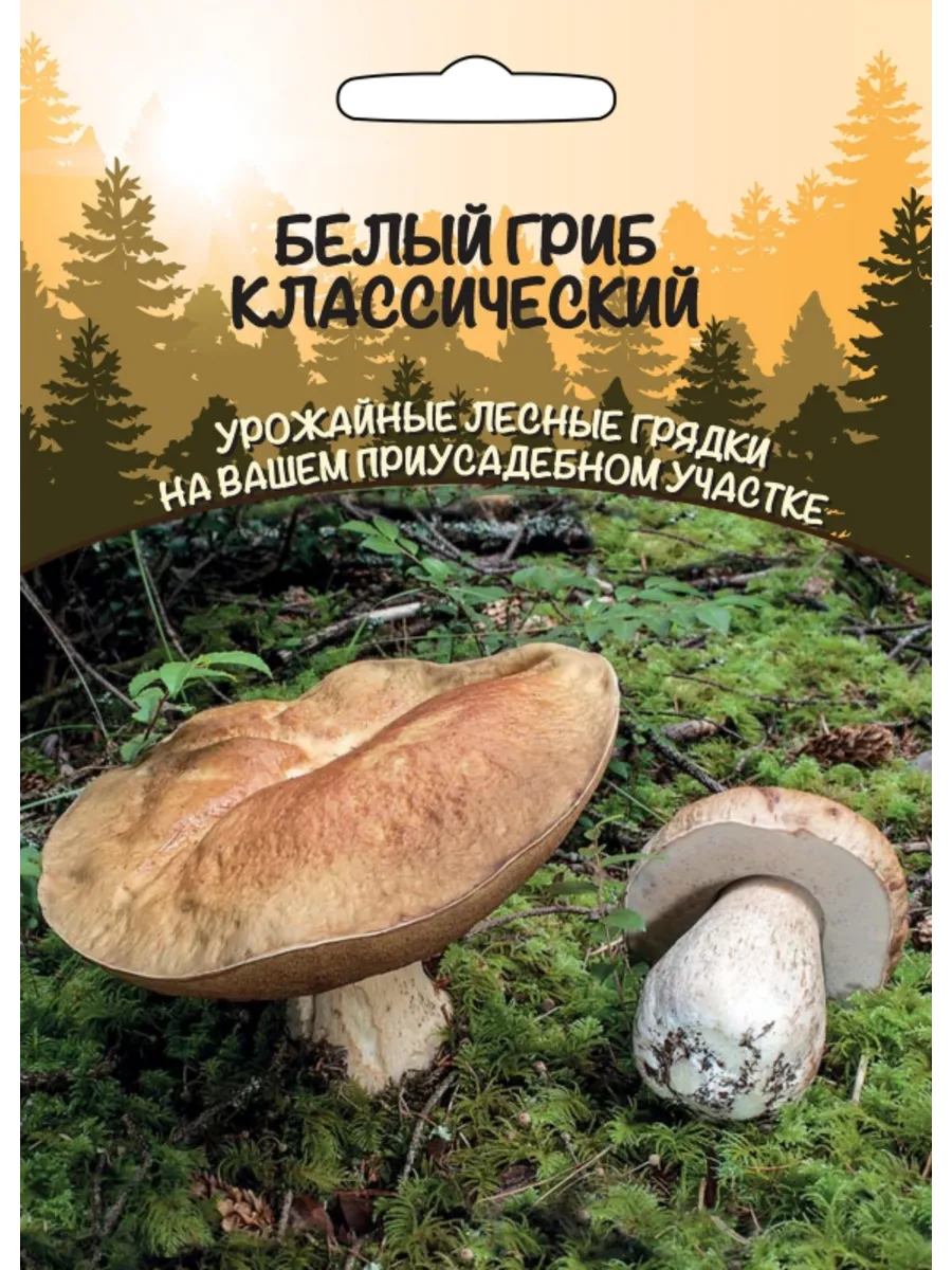 .Грибы Белый гриб Классический
