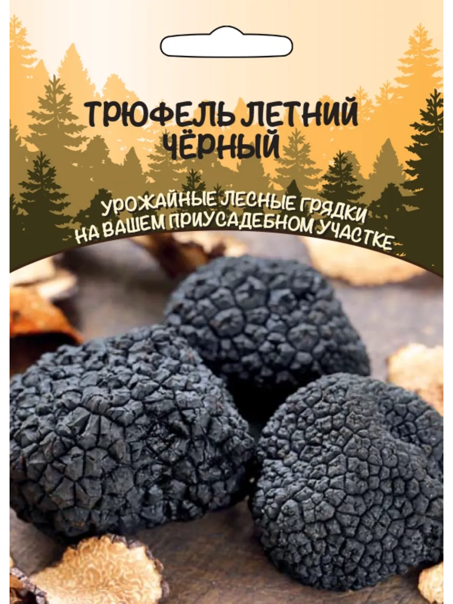 .Грибы Трюфель летний Черный