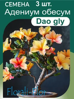 Семена Адениум обесум Dao gly Florali-Flor 289772204 купить за 267 ₽ в интернет-магазине Wildberries