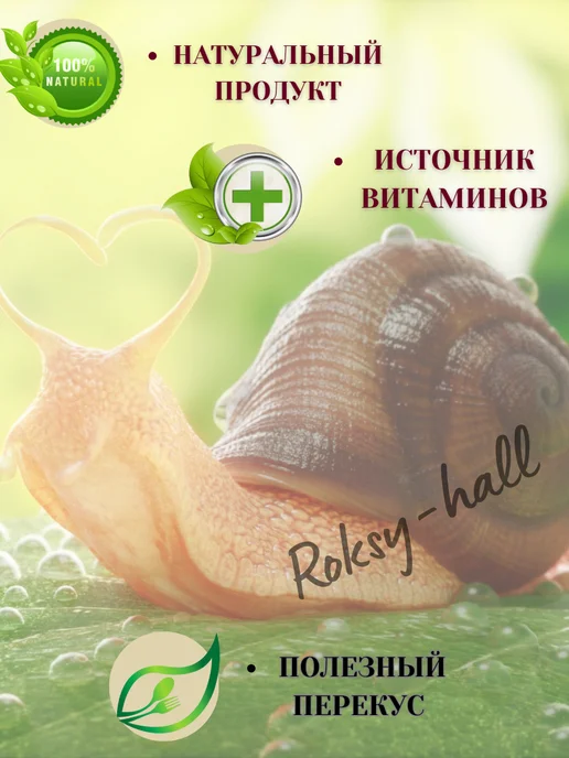 Эльф (зоотовары) Корм для улитки, трава в контейнере для проращивания, 75г, 75 г, фото 2