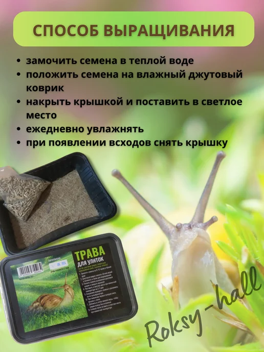Эльф (зоотовары) Корм для улитки, трава в контейнере для проращивания, 75г, 75 г, фото 3
