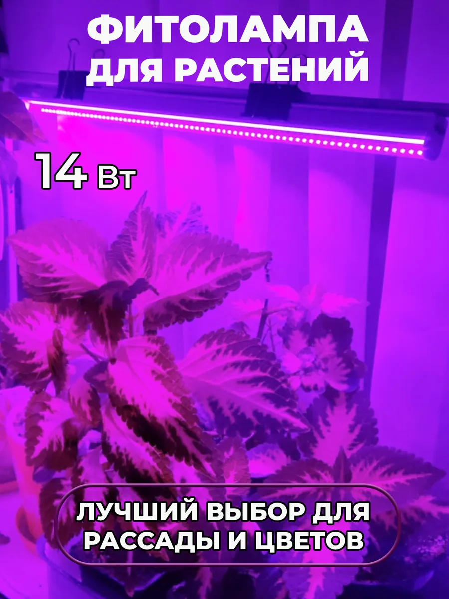 Фитолампа для растений и рассады полного спектра