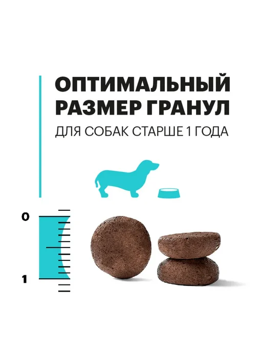 Сухой корм KARMY Hypoallergenic для собак, мелкие, ягненок, 2 кг, фото 5