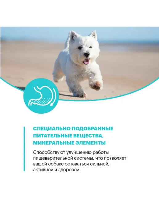 Сухой корм KARMY Hypoallergenic для собак, мелкие, ягненок, 2 кг, фото 8