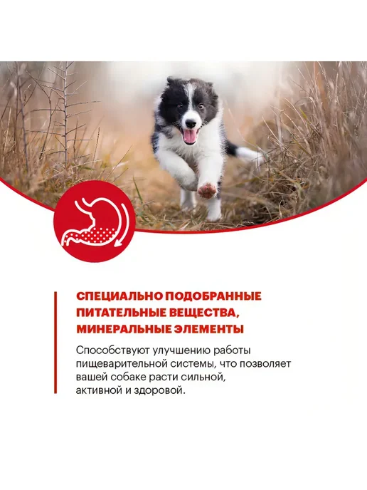 Сухой корм KARMY для собак, средние, щенки, индейка, 14 кг, фото 6