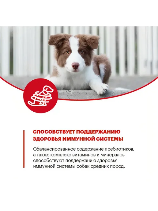 Сухой корм KARMY для собак, средние, щенки, индейка, 14 кг, фото 7