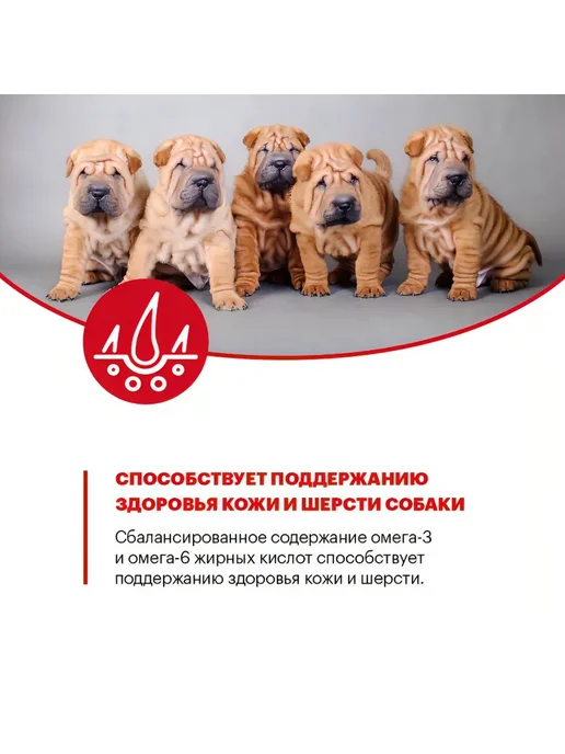 Сухой корм KARMY для собак, средние, щенки, индейка, 14 кг, фото 8