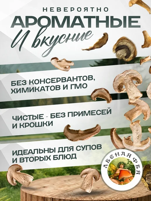 Лесная фея Подарочный набор №1 лесных сушеных грибов 90г, 90 г, фото 3