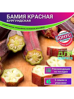 Бамия Рэд Бургунди семена 5шт + Бонус ФЕНИКСАГРО 290021558 купить за 362 ₽ в интернет-магазине Wildberries