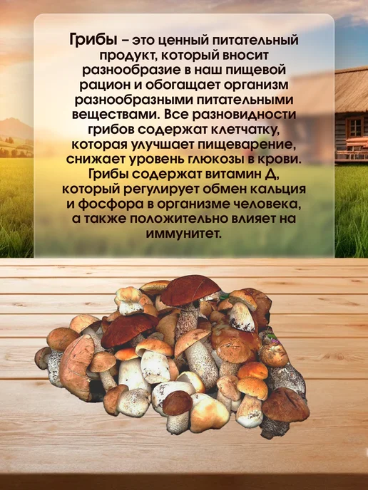 Лесная фея Белые грибы, лисички, подосиновики, маслята и моховики 150г, 150 г, фото 2